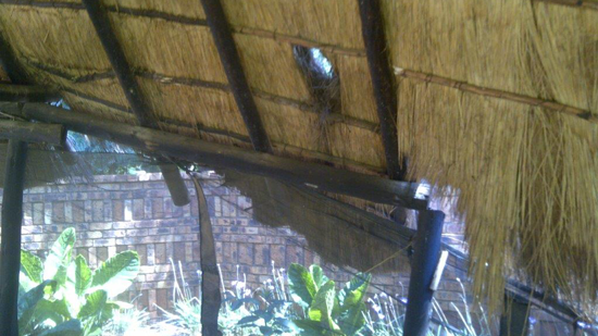 Repair damaged thatch roofs