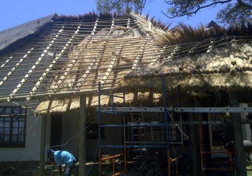 Extention of lapa